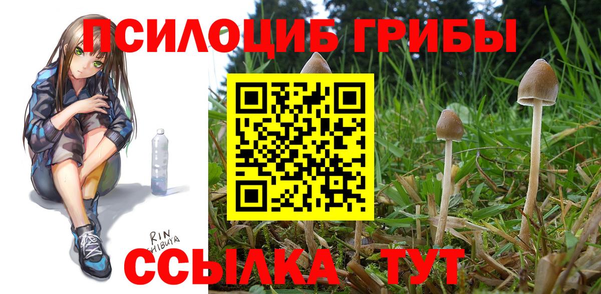 Псилоцибиновые грибы Cubensis Кумертау